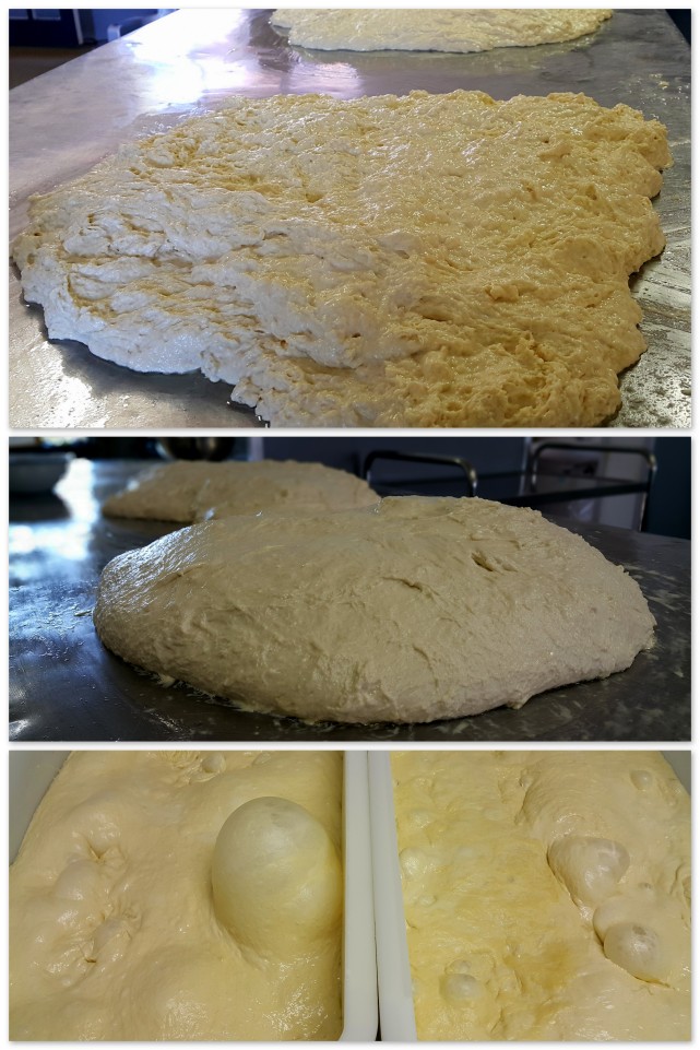 Dough starting its process
